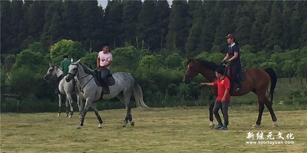 兴业集团 | 周年庆活动